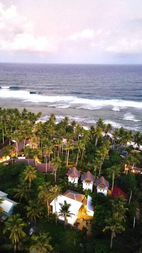 Three Little Birds Surf Hostel