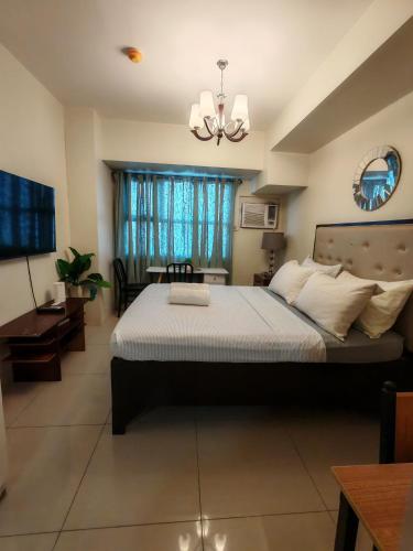 Lourdes Bedsit Horizon 101