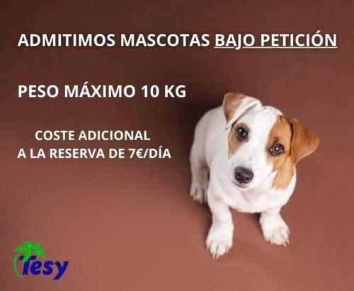 Apartmentos Tesy II