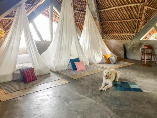 Baia Nest Villa 2nd FLOOR and LOFT within Self-Service Villa Near the Beach, Pet Friendly with a Fee