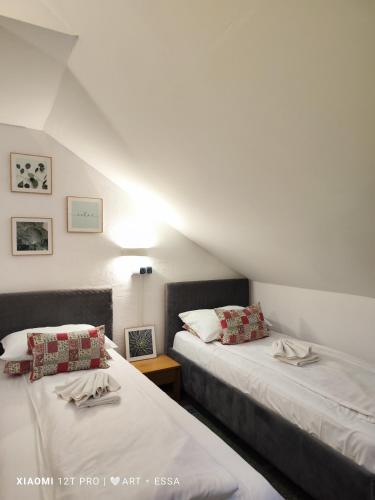 Pensiunea Buon Gusto