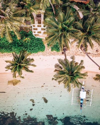 ShakaBrah Beachfront Surf Skate Hostel