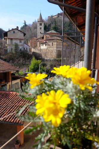 La Ghiacciaia Sas Di Calvo Antonella C