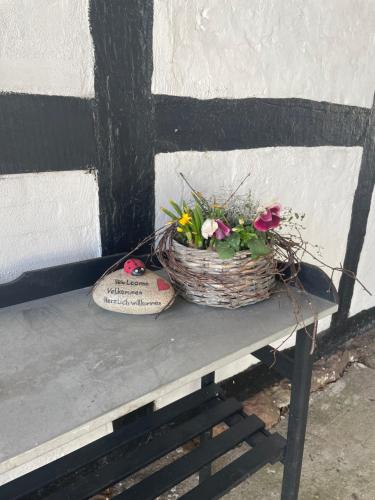 Bækgaardens bed and breakfast