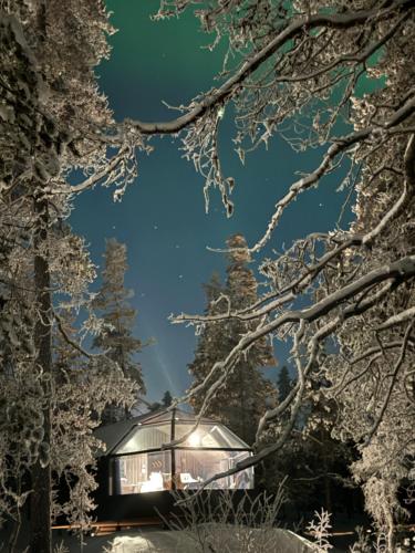 Aurora Queen Resort Igloos