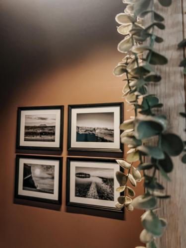 Gistiheimilið Reynir