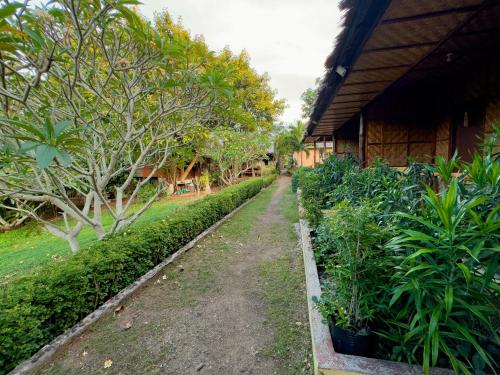 Cecilia's Garden Guesthouse