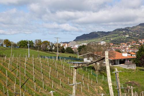 Agroturismo Basarte Baserria