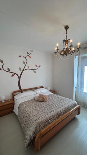 Comfort Accommodation