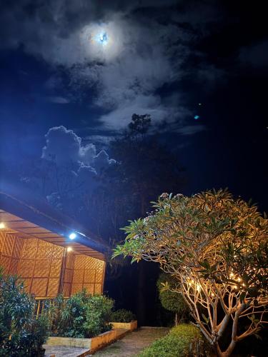 Cecilia's Garden Guesthouse