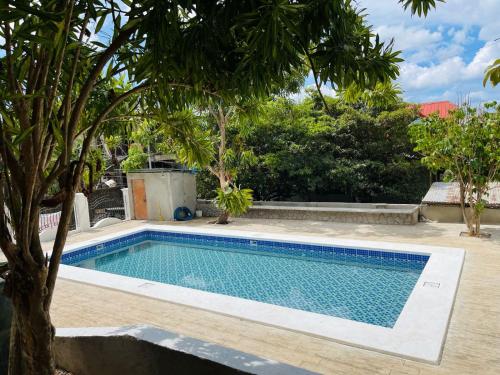 Screaming Gecko Hostel Air-Con