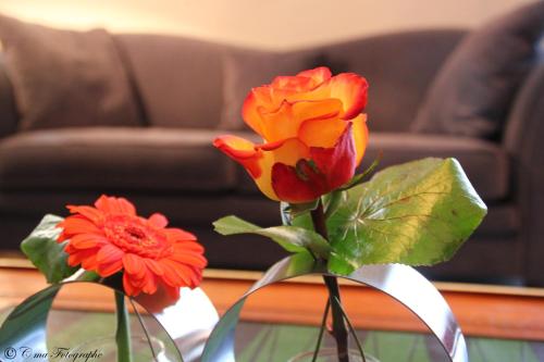 Hôtel Majestic Lourdes