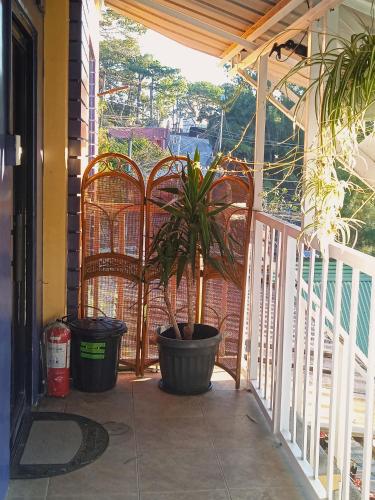 Evergreen Pines at Autumn Oasis - 2BR Apartment with Mountain Views