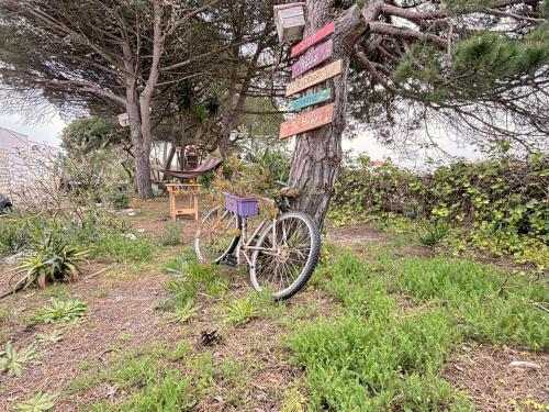 Pousada De Juventude De Almograve