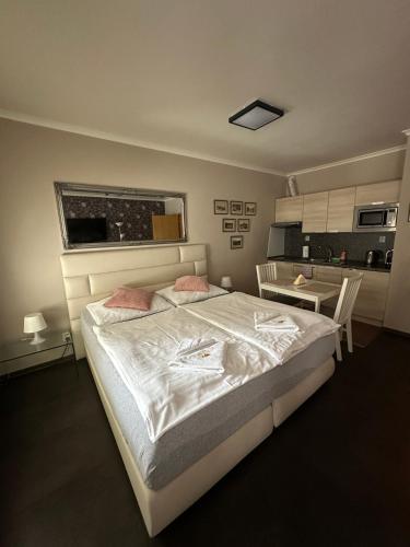 Harrachov Resident Apartments "Terrace & Chill" - high speed WiFi, možnost snídaně, Smart TV, Netflix, Disney plus