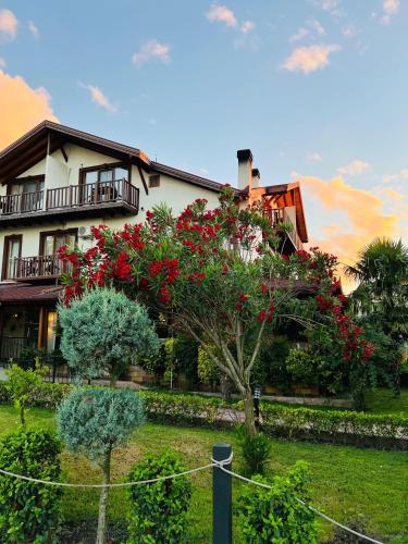 Cevizdibi Butik Otel