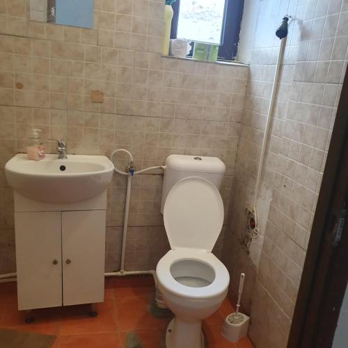 Cazare - Accommodation