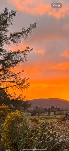 Scarr View 1st floor Apartment A98W710