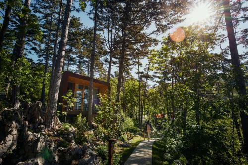 Theodosius Forest Village