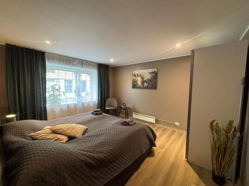 3 rooms apartment in Center