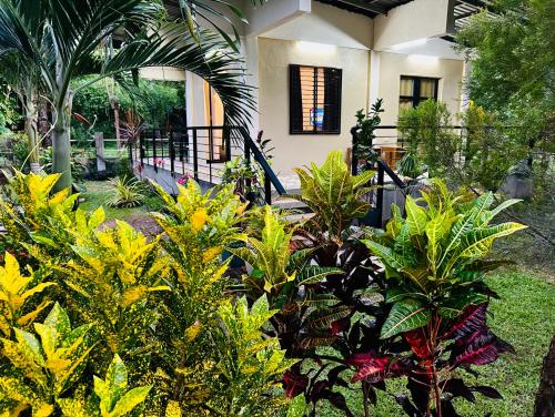 Andrei Holiday House