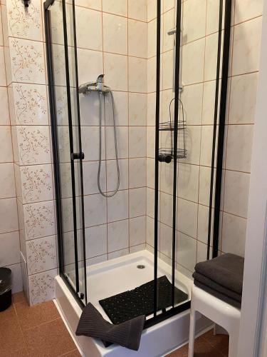 Pensjonat Brzozowy Gaj