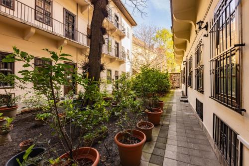 Amber Gardenview Studios