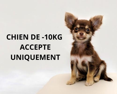 La Madrague Hotel Spa