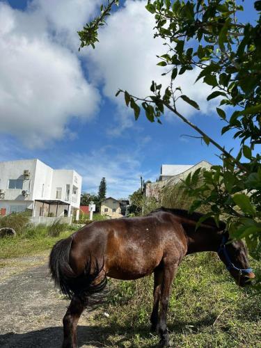 Casa Rama Hotel Tagaytay
