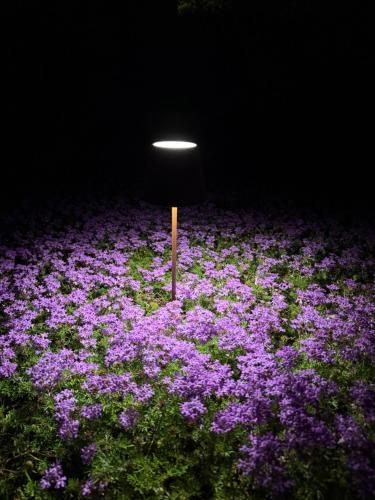 Casale Terre Rosse Garden