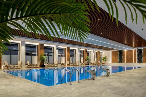 Alexandrion Experience