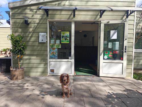 Danhostel & City Camping