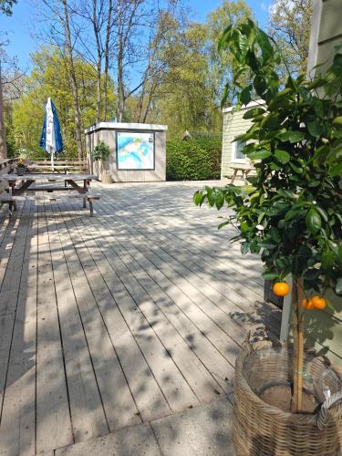 Danhostel & City Camping