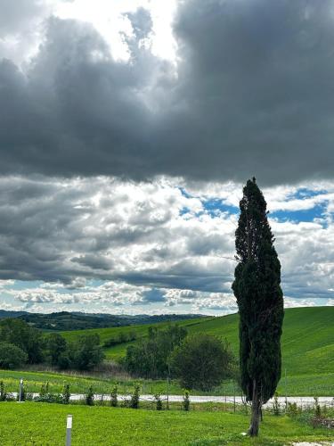 Agriturismo Maremma Amara