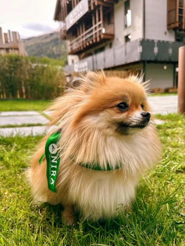 Nira Mountain Resort Futura