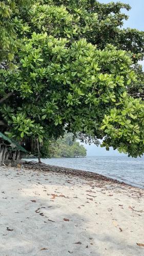 Rainforest Nest - KAHILOM, SAYA, JIVA Nest with Self-Service Breakfast, Outdoor Dining, Bats