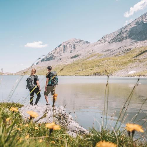 Les Sources des Alpes