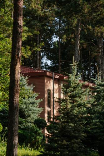 Zuzumbo Resort & Spa