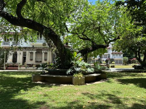MiraNamin M A P I L I G Suite in Unique Historic Home - Shared Kitchen, Rooftop
