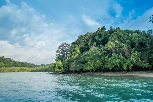 Rainforest Nest - CAHAYA, PITI, VIRYA Nest with Self-Service Breakfast, Balcony, Monkeys, Bats