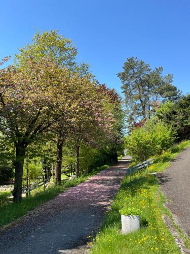 Centre Saint-François