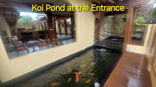 Koi Empire Bed and Breakfast