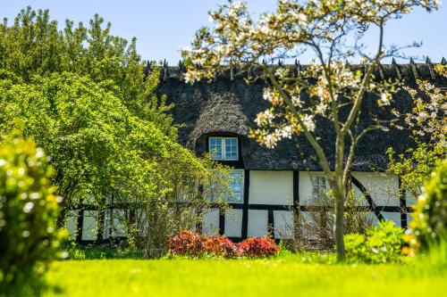 Solbjerggaard Bed And Breakfast