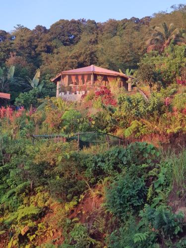 Eco Farm Romantic Stone House with STARLINK internet 700 meters above sea level