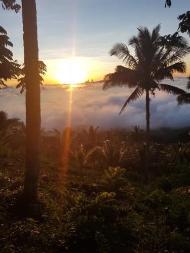 Eco Farm Romantic Stone House with STARLINK internet 700 meters above sea level