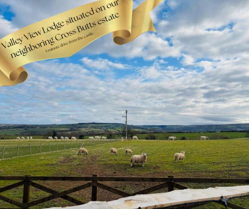 Sneaton Castle Centre