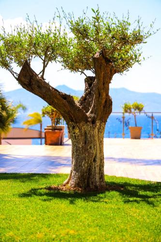 Apollon Hotel