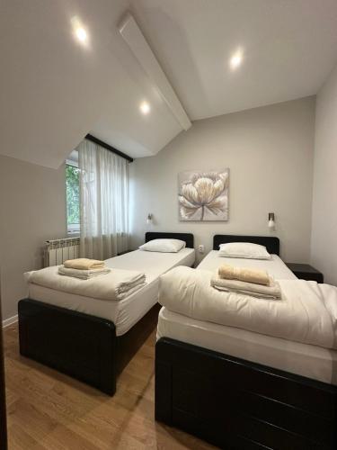 Prenociste Stojic Novi Sad