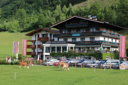 Landhotel Rohregger