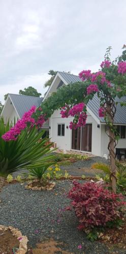 Bohol Lovers Homestay in Anda Bohol nearby beach